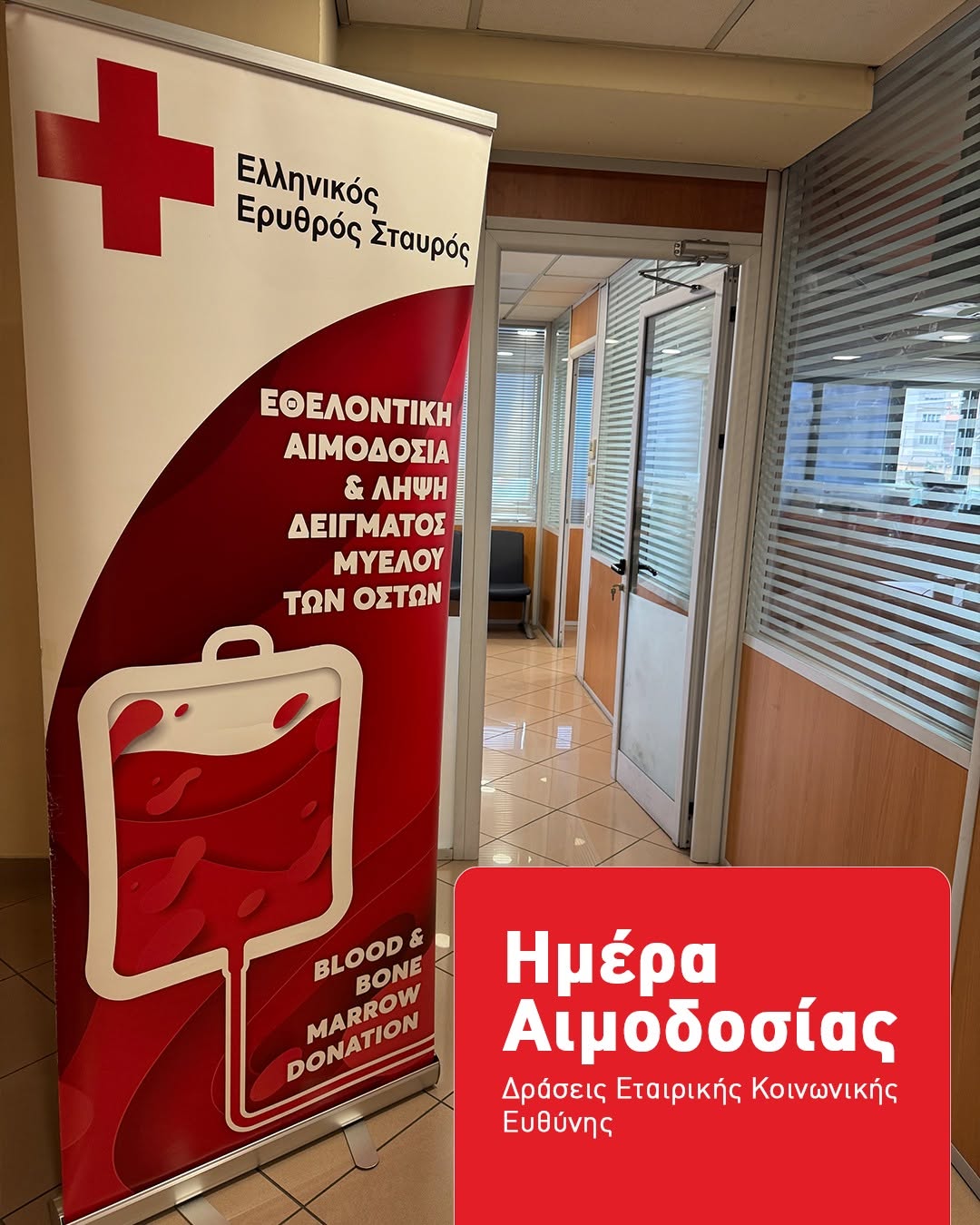 aimodosia1