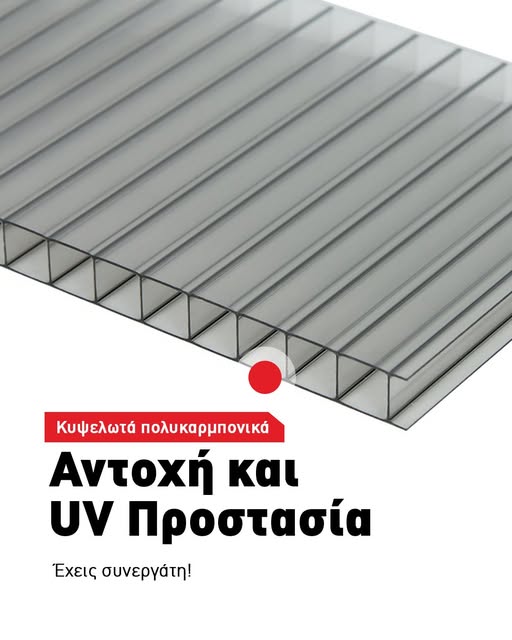 kipselota polykaremponika kipselota polykaremponika